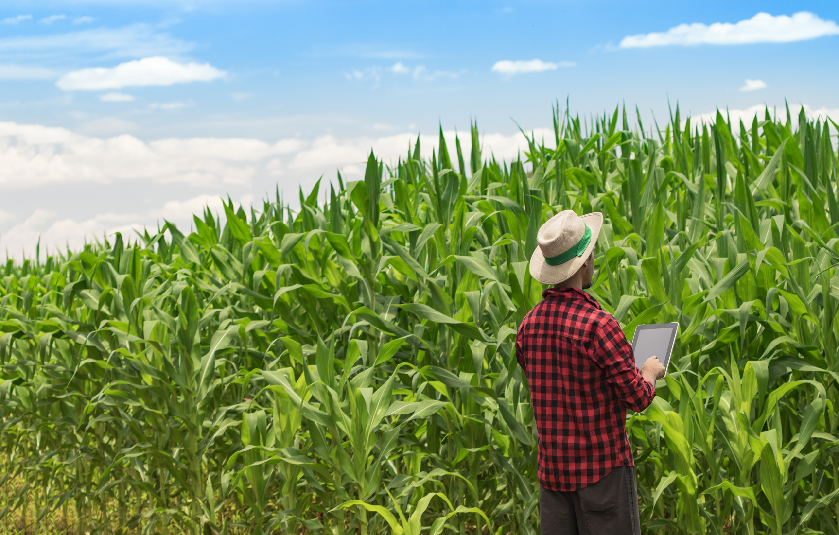 Le numérique envahit l'agriculture