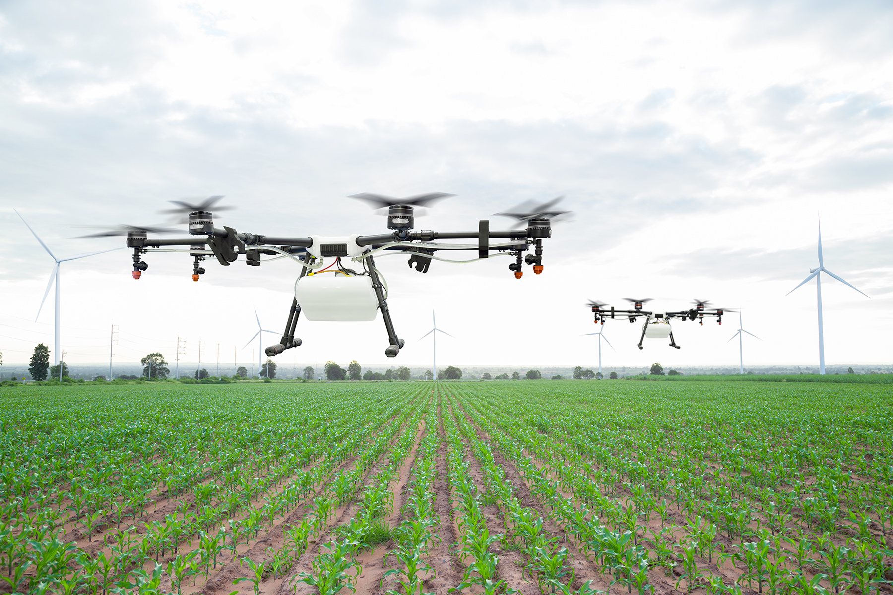 Le numérique envahit l'agriculture
