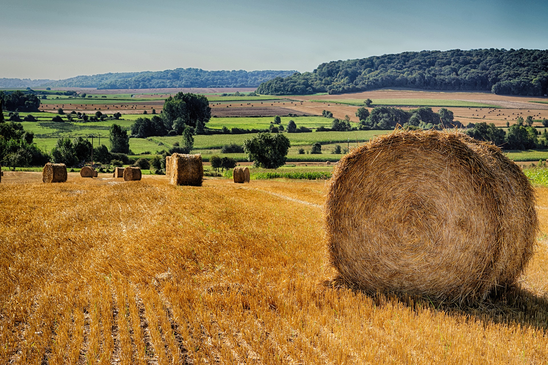 BHP s'intéresse aux fertilisants