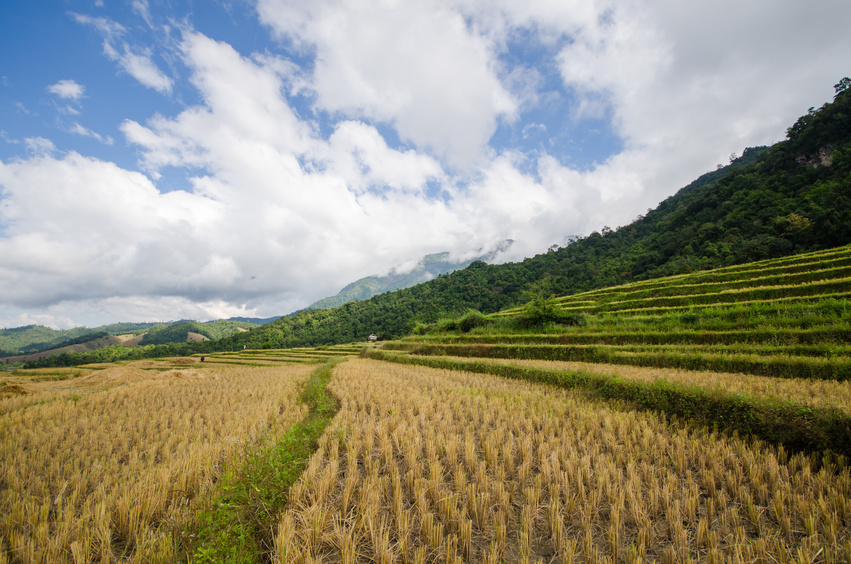 Changement climatique en Asie