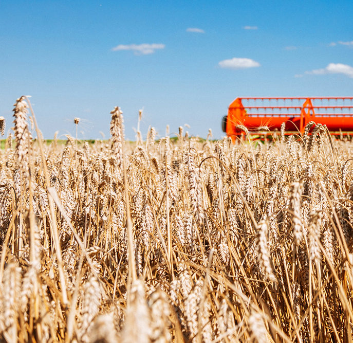 Enjeux agricoles : rendez-vous est donné aux états généraux de l'alimentation