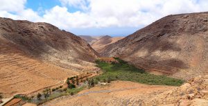 Les oasis du Maghreb en crise