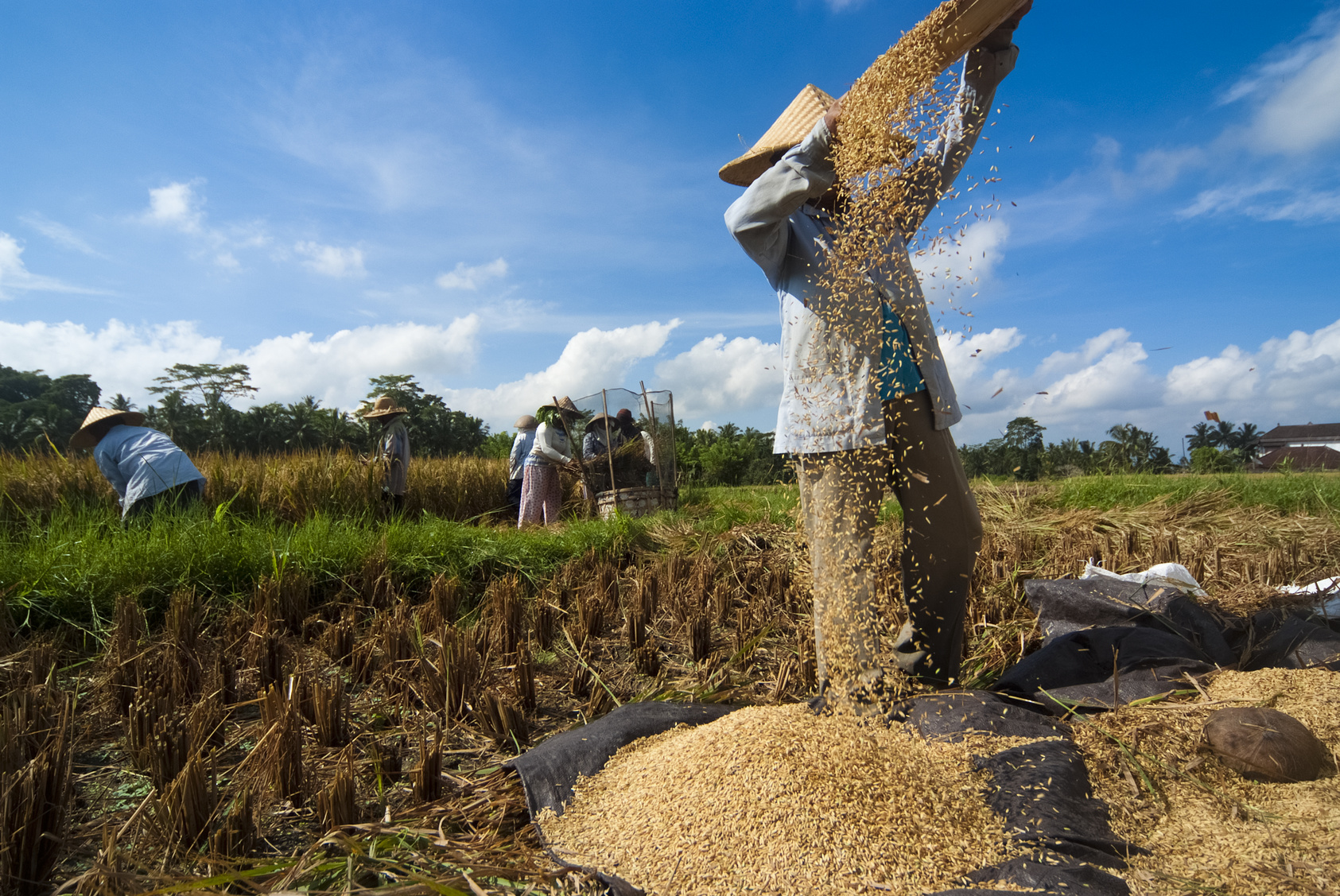 Recul de l'agriculture familiale