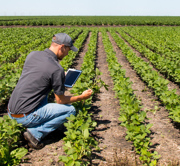 agtech-connecting-agriculture