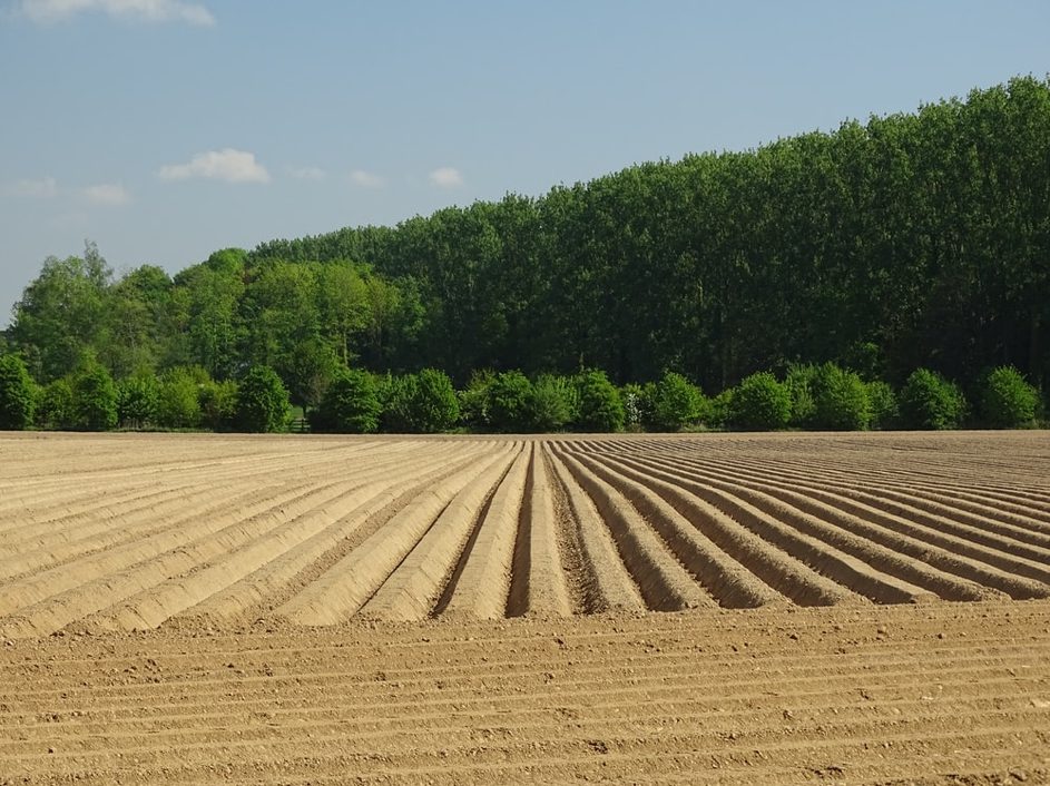 MAINMISE SUR LES TERRES AGRICOLES  Willagri  Comprendre les enjeux de
