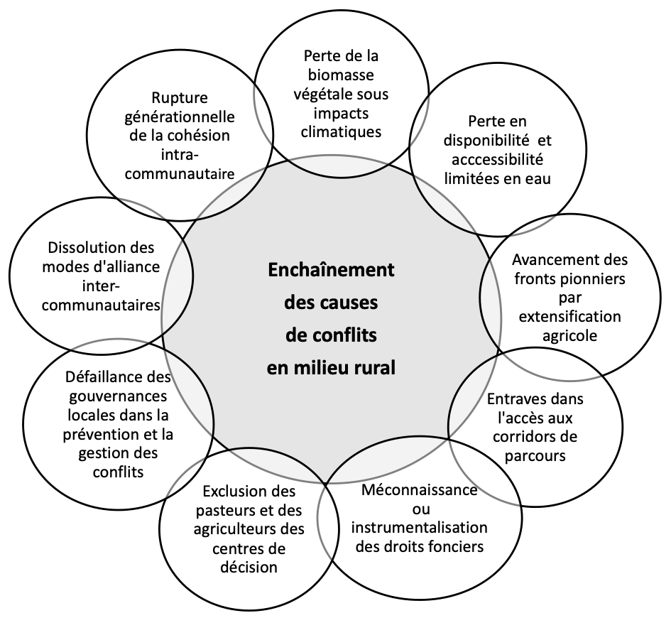 Afrique du Sud : après les dernières tueries, la prolifération des